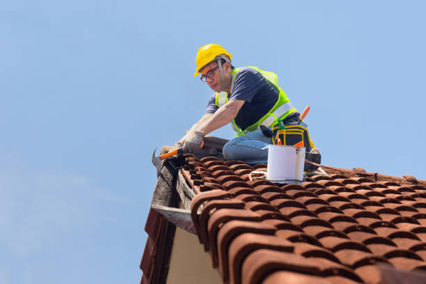 Professional Roofing Contractor in Madison Heights, VA